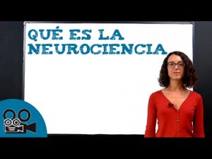 ¿Qué Es La Neurociencia? – Baúl Docente